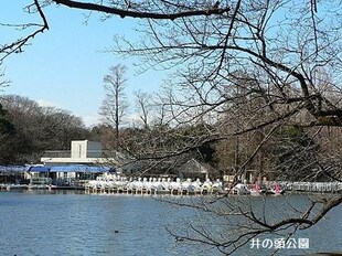 三鷹台駅 徒歩3分 3階の物件内観写真